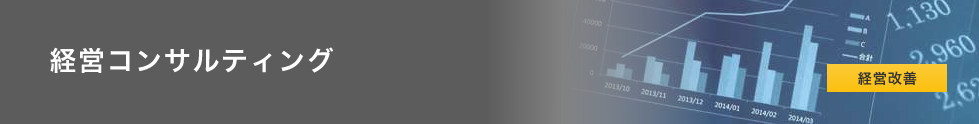 経営コンサルティング