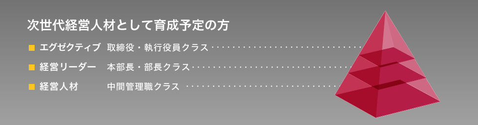 次世代経営人材として育成予定の方 エグゼクティブ 取締役・執行役員クラス　経営リーダー 本部長・部長クラス　経営人材 中間管理職クラス